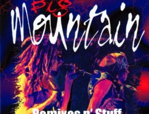 Big-Mountain-Remix